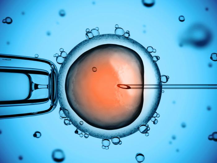  Six Factors That Influence The Treatment Of Iui Cost Singapore