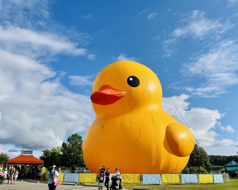 Giant Duck Campaign